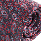 Black & Red Mini Paisley Print Tie - Tie Doctor